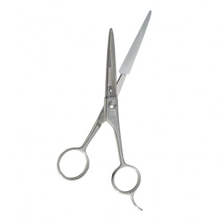 Ciseaux De Coiffeur No 55 A Lames Remplacables Feather